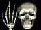 Dout